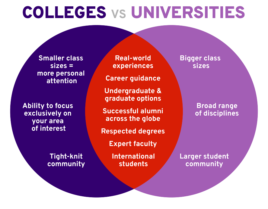 venn diagram 