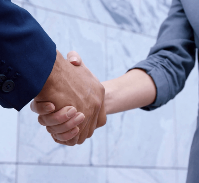 Two people wearing suits exchange a firm handshake